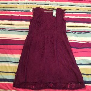 Brand new never worn lace dress
